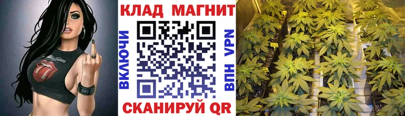 Купить наркотики цена Нефтекумск Кокаин A-PVP Гашиш