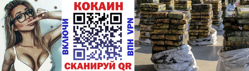 Cocaine Эквадор  где найти   Нефтекумск 
