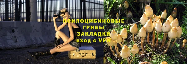 PSILOCYBIN Медногорск