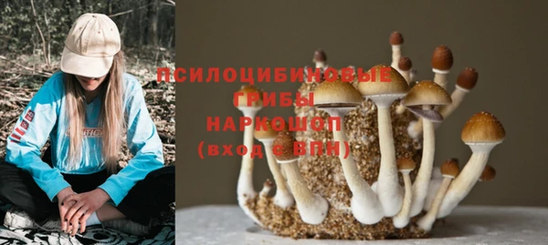 прущие грибы Алексин