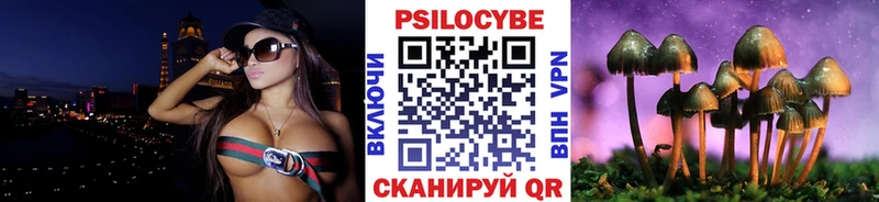 как найти наркотики  Нефтекумск  Псилоцибиновые грибы GOLDEN TEACHER 