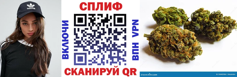 купить закладку  Нефтекумск  площадка клад  Марихуана сатива 